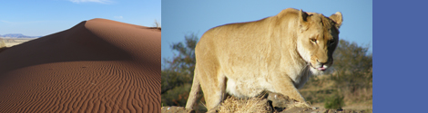 Fotoaufnahmen von Namibia